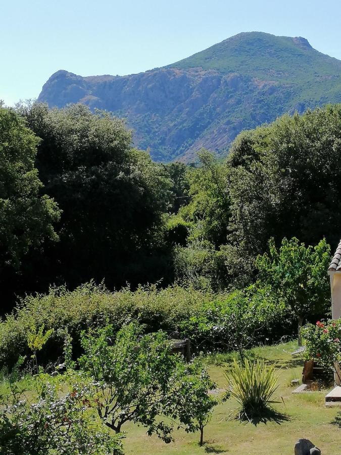 Hébergement de vacances En Pierre *